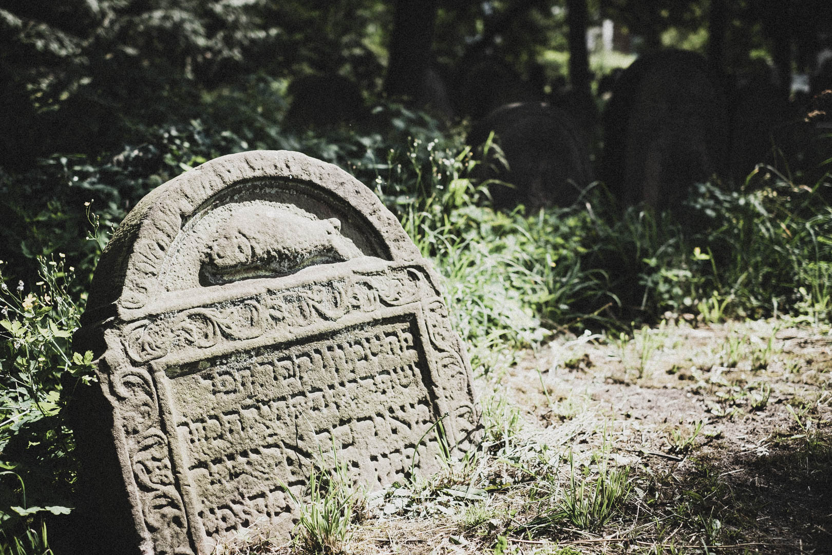 Hanau, Jüdischer Friedhof